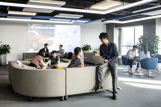 數(shù)字化與生物技術(shù)雙輪驅(qū)動(dòng)，領(lǐng)悅數(shù)字信息技術(shù)掛牌助力華晨寶馬以客戶為中心戰(zhàn)略加速轉(zhuǎn)型