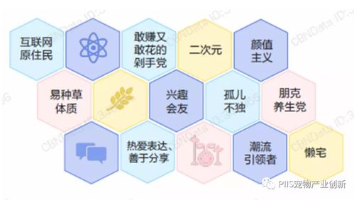 優(yōu)寵智能2021 數(shù)字文化創(chuàng)意內(nèi)容如何引爆寵物產(chǎn)品與服務
